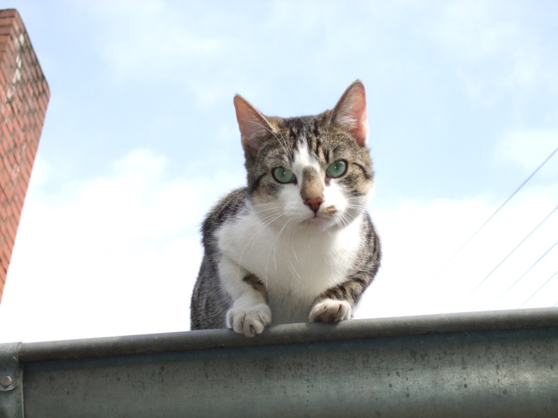 Ostern 2007 Orleshausen 014 